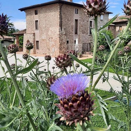 Corte Davini Agriturismo Monzambano Exterior photo