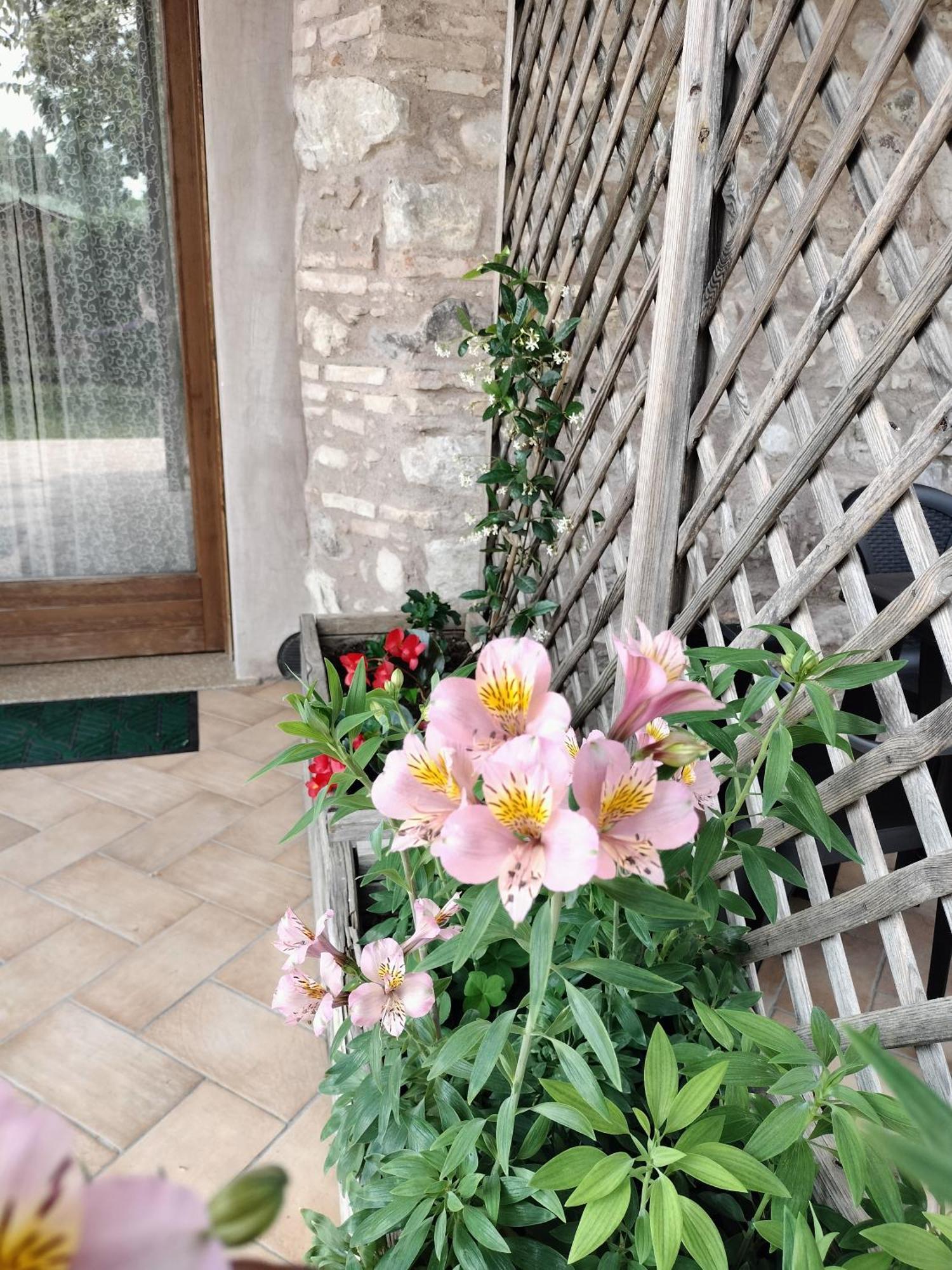 Corte Davini Agriturismo Monzambano Exterior photo